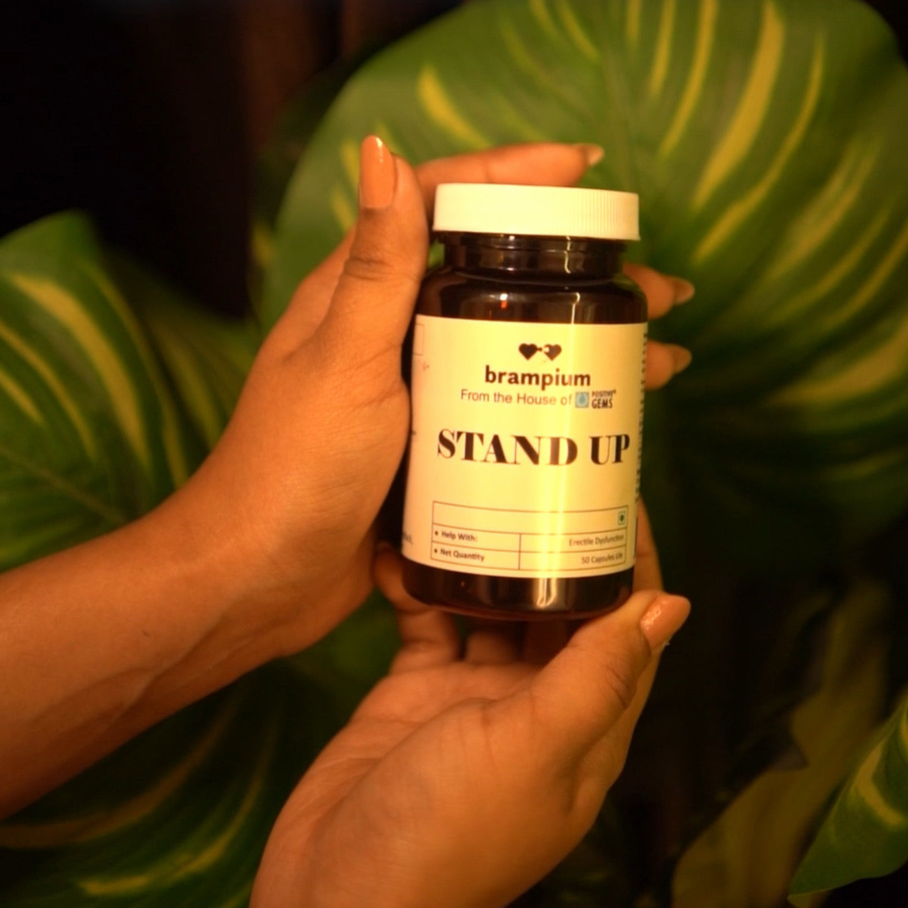 brampium Stand-Up Ayurvedic